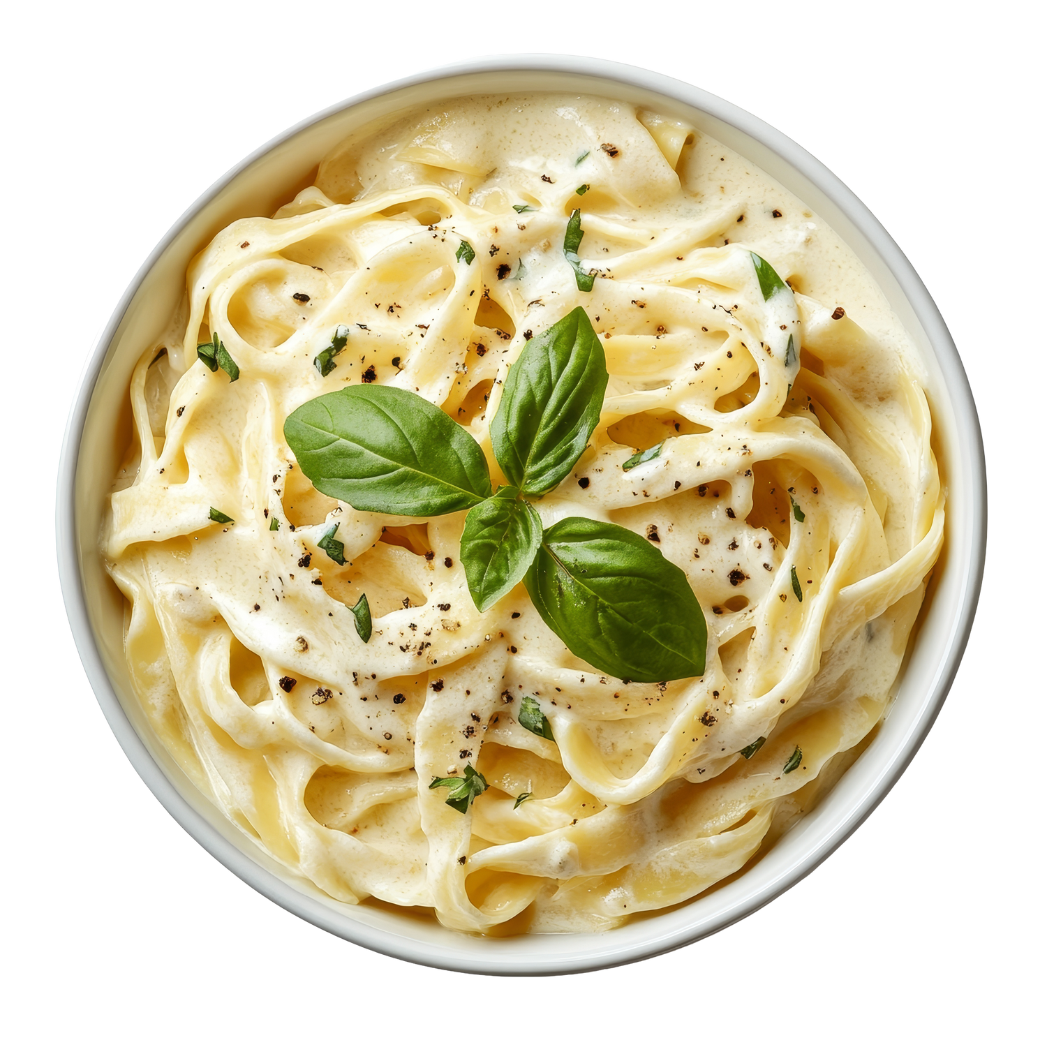 Alfredo Pasta